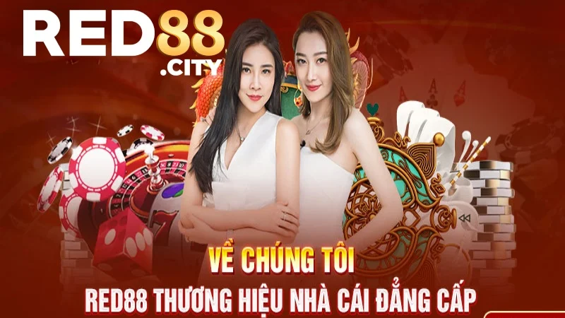 Đôi nét về chúng tôi - thương hiệu cá cược đẳng cấp